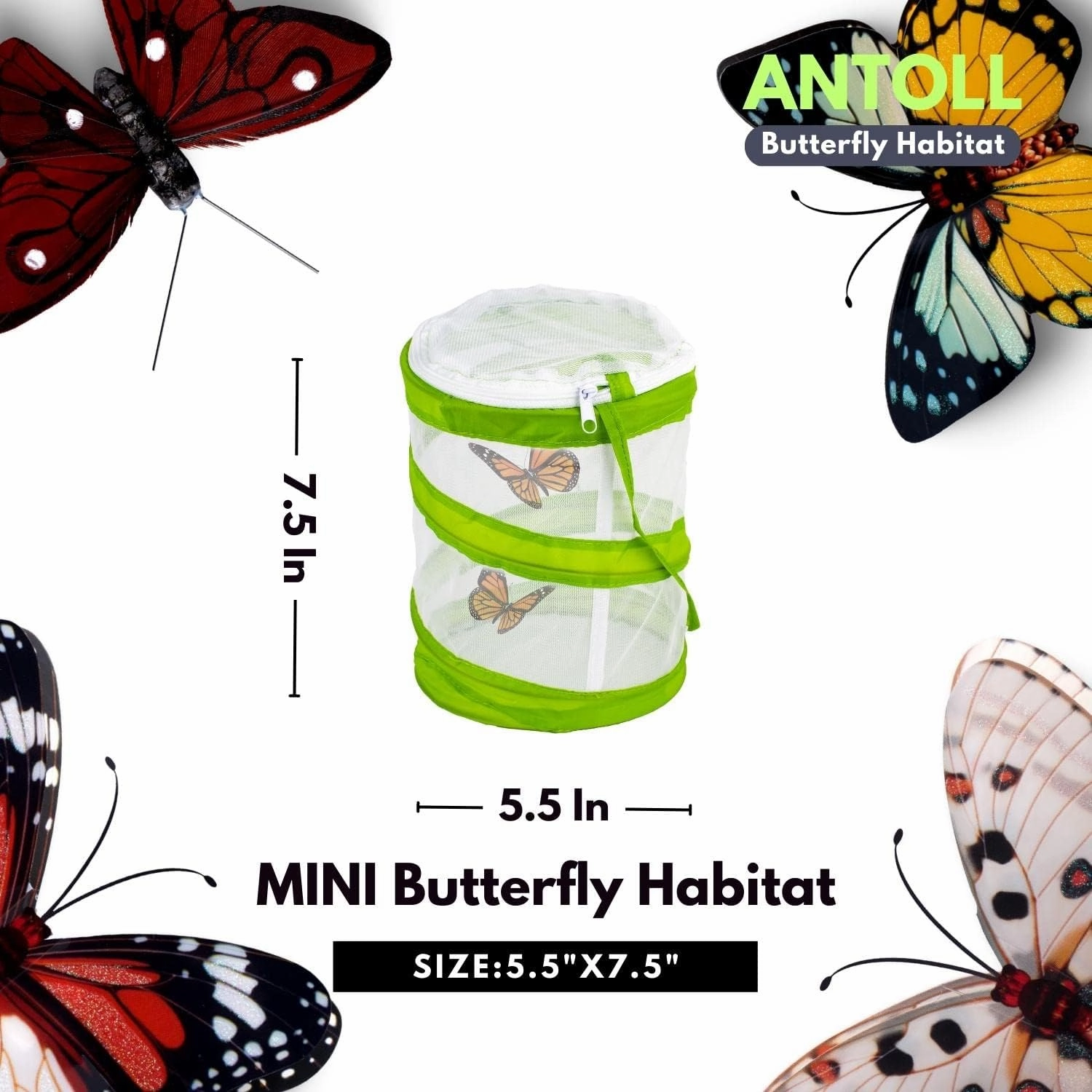 6PCS Mini Butterfly Habitat, Dragonfly Butterfly Flying Insect Mesh Cage, Outdoor Observation Plant and Small Animal Terrarium Pop up Open-5.5" x 7.5" Tall (S-Cylinder 6pcs)