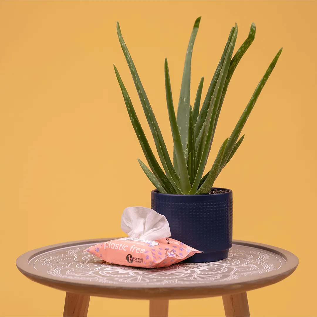 Adios Plastic - Compostable Pet Wipes (25 wipes)