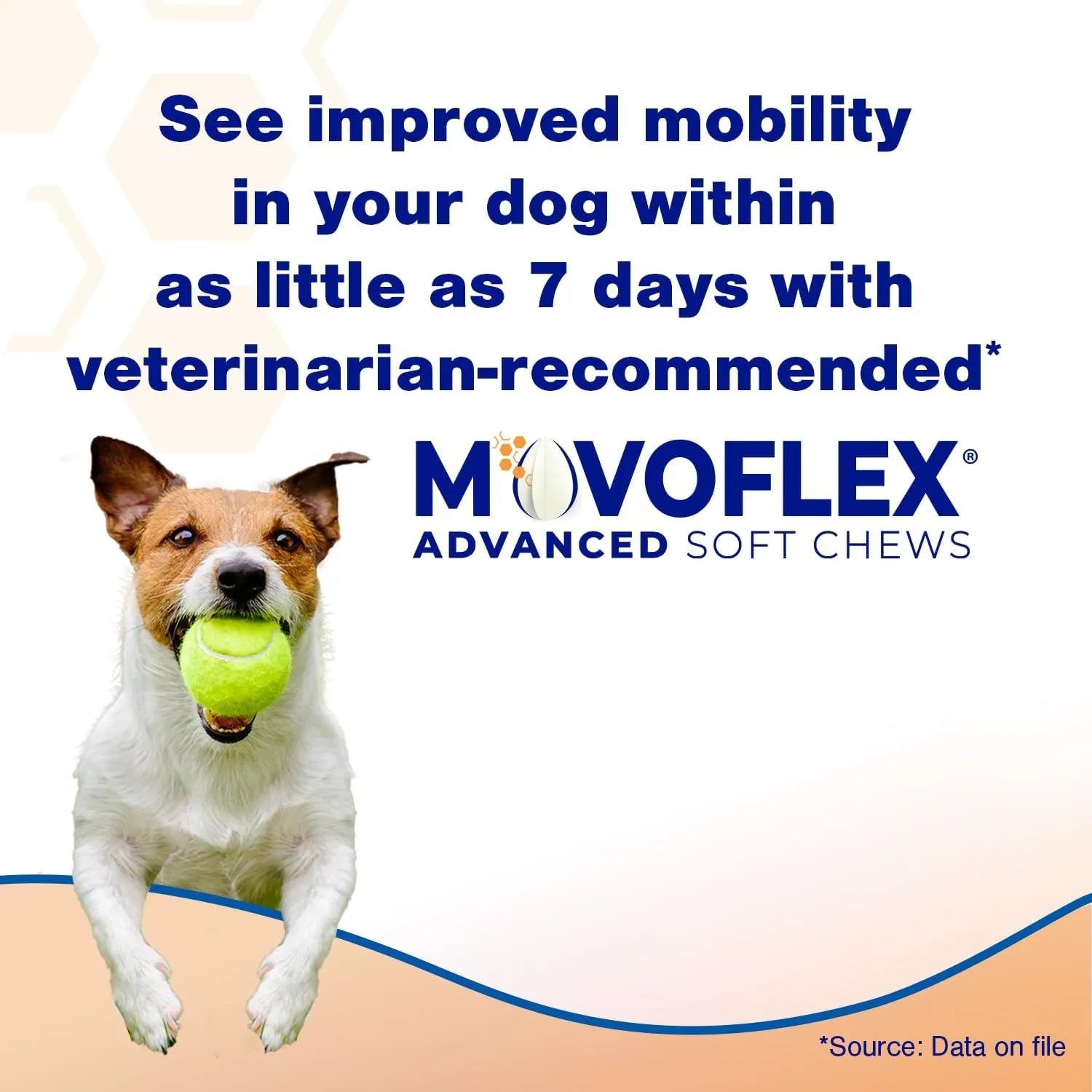 Advanced Soft Chews Hip and Joint Support Supplement for Small Dogs 60 Count by Virbac