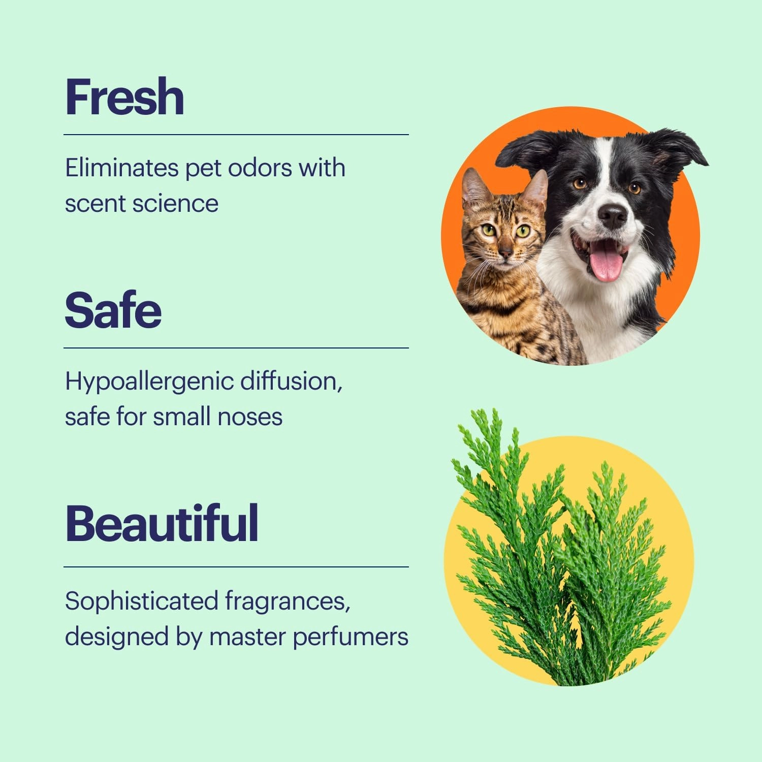Aera True Loves Alpine Cedar – Deodorizing Home Fragrance Mini Scent Refill for Pet Odor – Notes of Juniper, Cedarwood & Jasmine – Compatible With Aera Smart Diffuser – 12.5mL