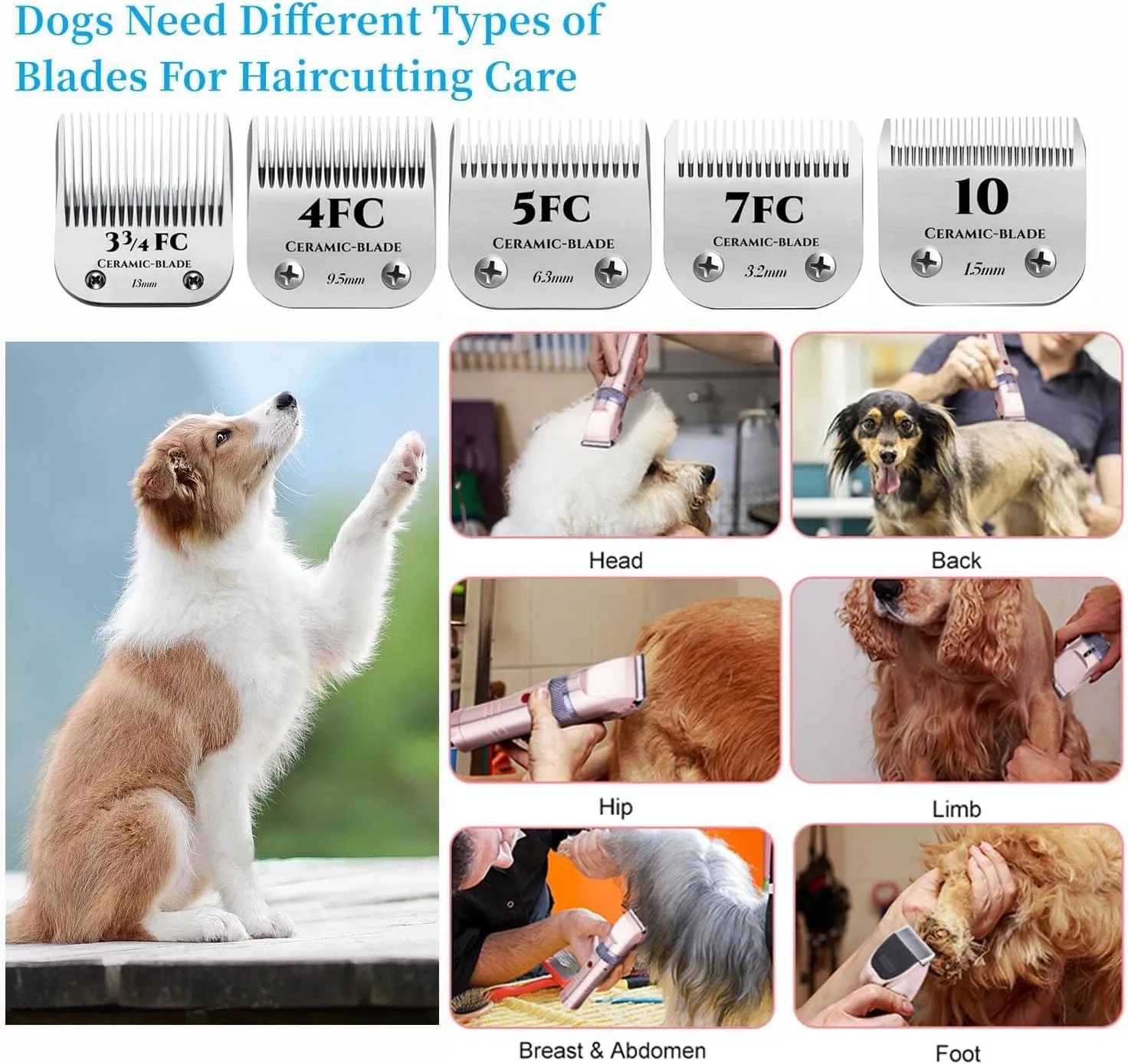 AIJALY 2PCS 3FC Blades Detachable Dog Grooming Ceramic Blades Compatible with Andis Dog Clippers，Replacement Blade Compatible with Wahl/Oster A5, KM Series Clippers,Size 3-3/4FC Cut Length 1/2"(13mm)