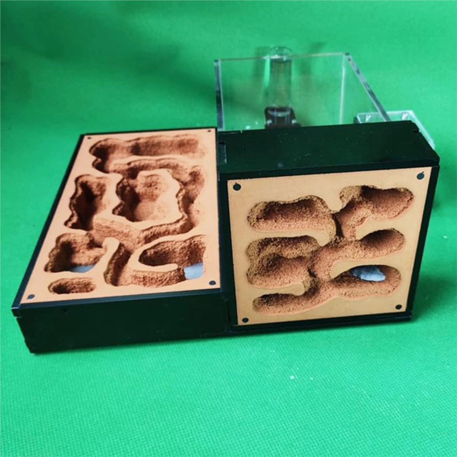 Ant Farm Ant Nest Ant House Classic Ant Farm Acrylic Plaster Ant Castle Flat Ant Hill Habitat Feeding Area Workshop Ant Nest Farm Ant Farm for Live Ants