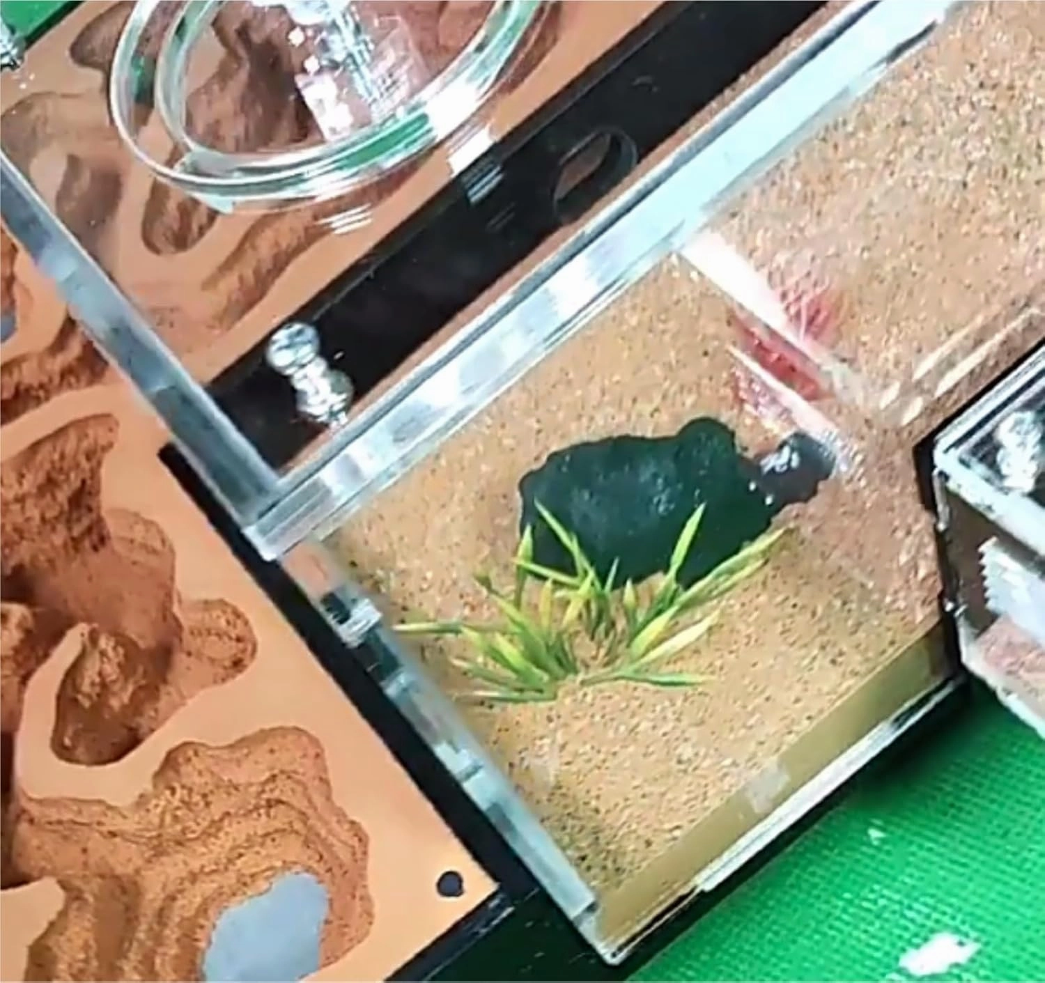 Ant Farm Ant Nest Ant House Classic Ant Farm Acrylic Plaster Ant Castle Flat Ant Hill Habitat Feeding Area Workshop Ant Nest Farm Ant Farm for Live Ants