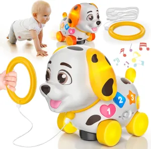 Baby & Toddler Musical Puppy Toys   Wooden Magnetic Chess Set