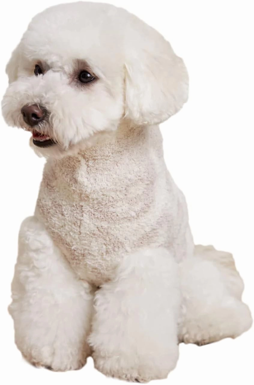 Barefoot Dreams CozyChic® Barefoot in The Wild Pet Sweater, Cream-Stone, Medium