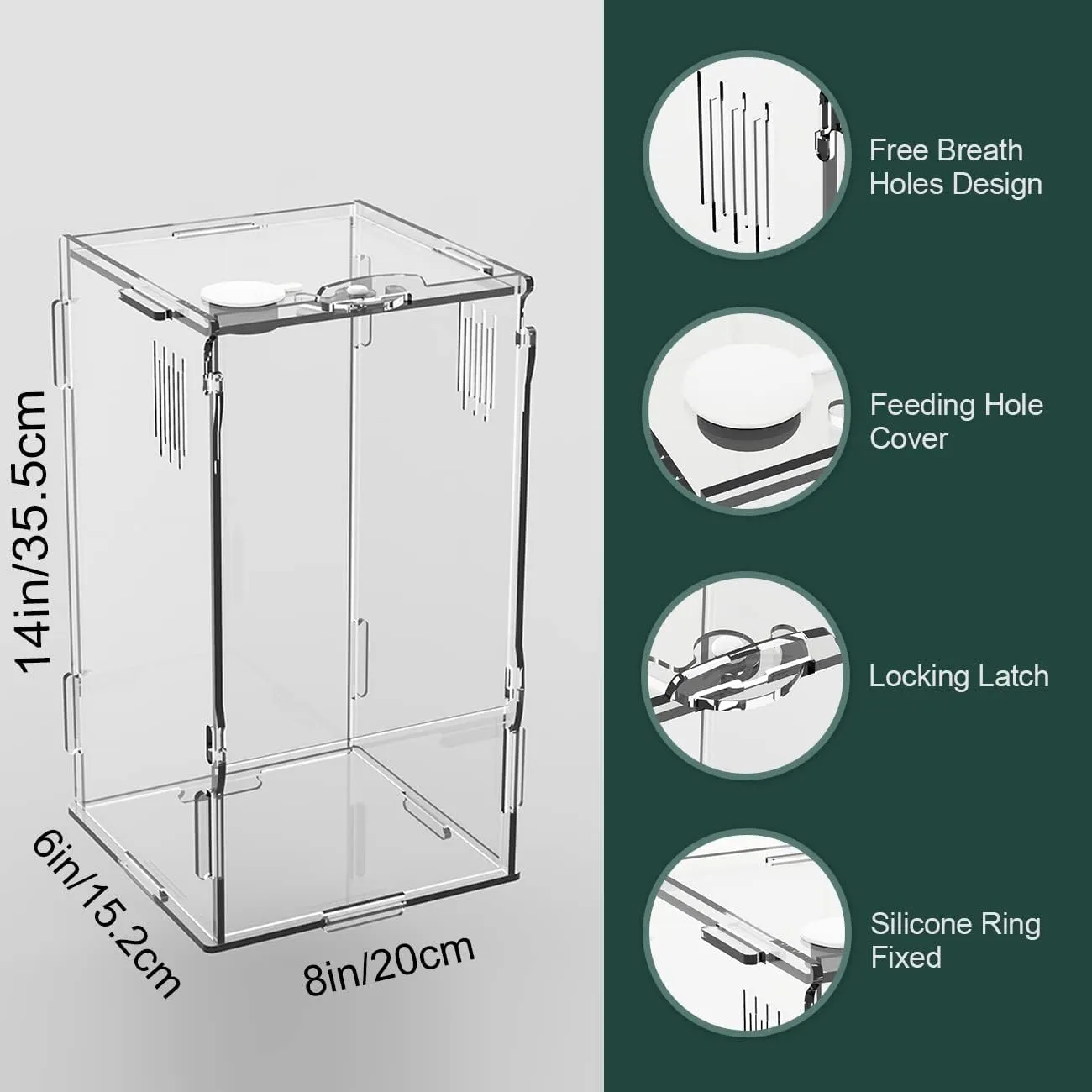 BETAZOOER Acrylic Mini Reptile Tank Habitat Transparent Terrariums with Locking Latch Suitable for Tarantula Isopod Roach Invertebrates (8''x6''x14'')
