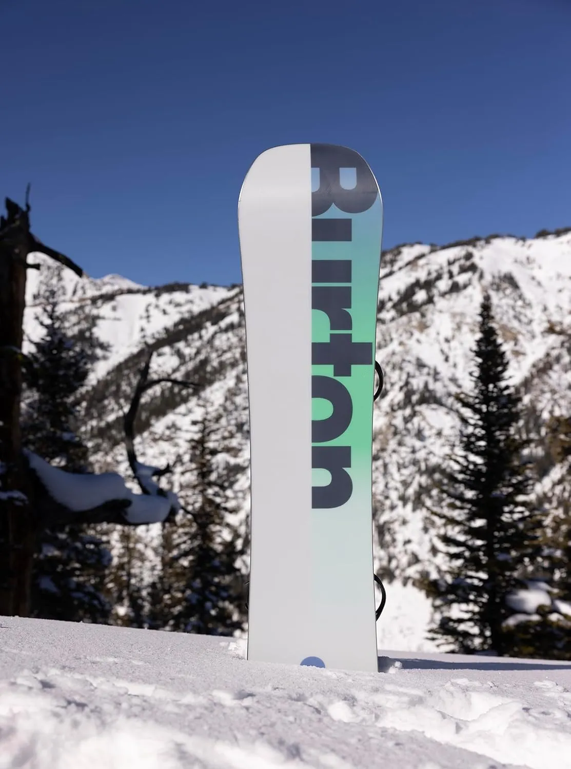 Burton Men's Custom Camber Snowboard