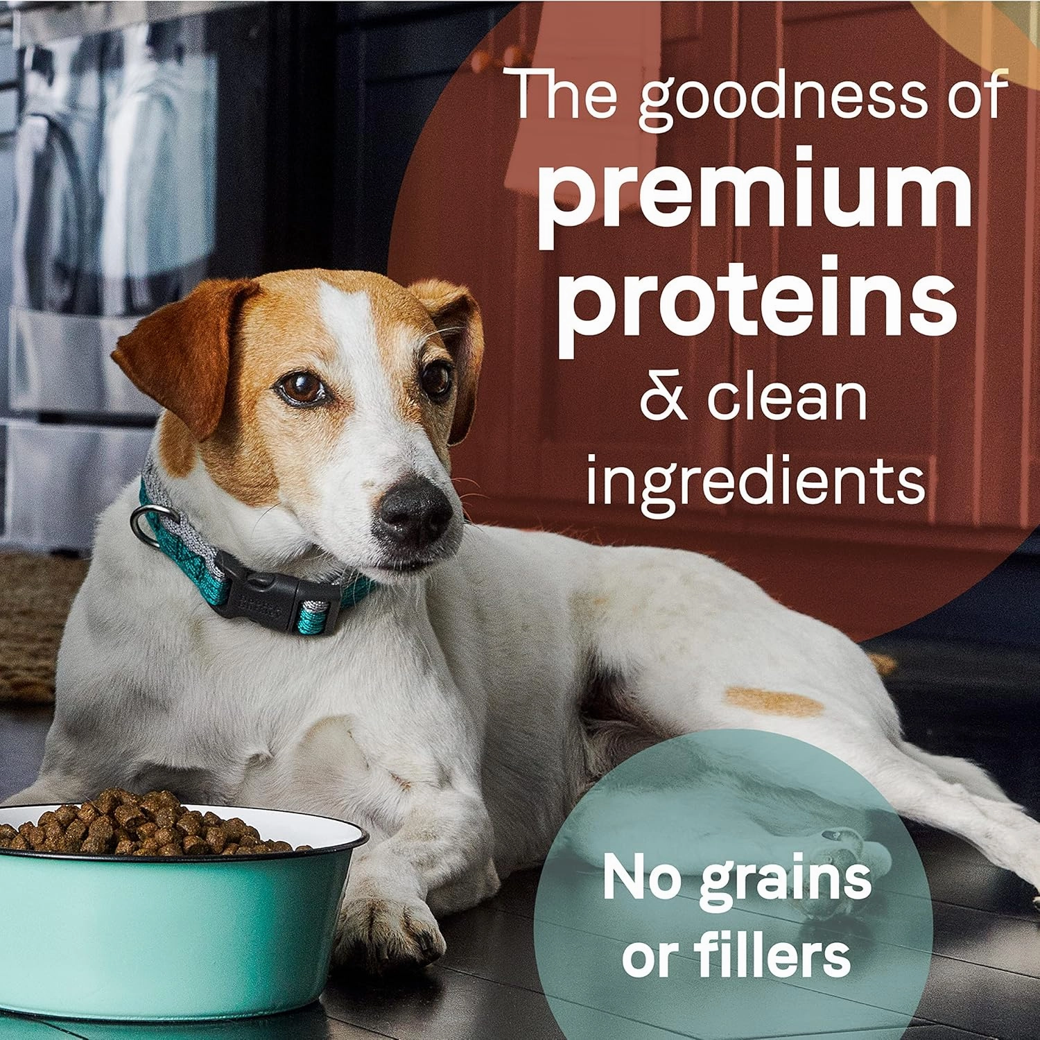 Canidae Pure SENIOR Real Chicken, Sweet Potato & Garbanzo Bean Recipe Dog Dry 22 lbs.