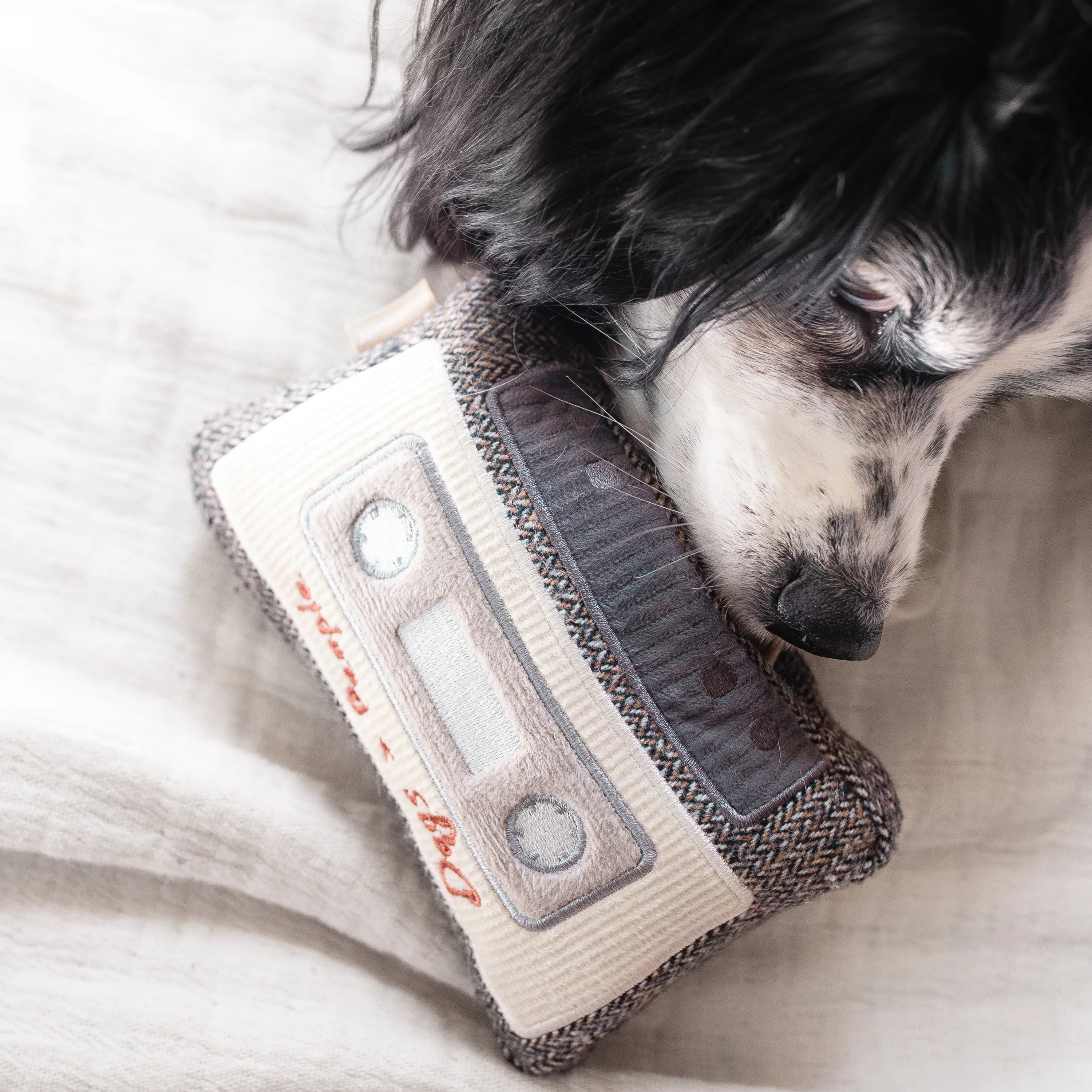 cassette tape enrichment toy