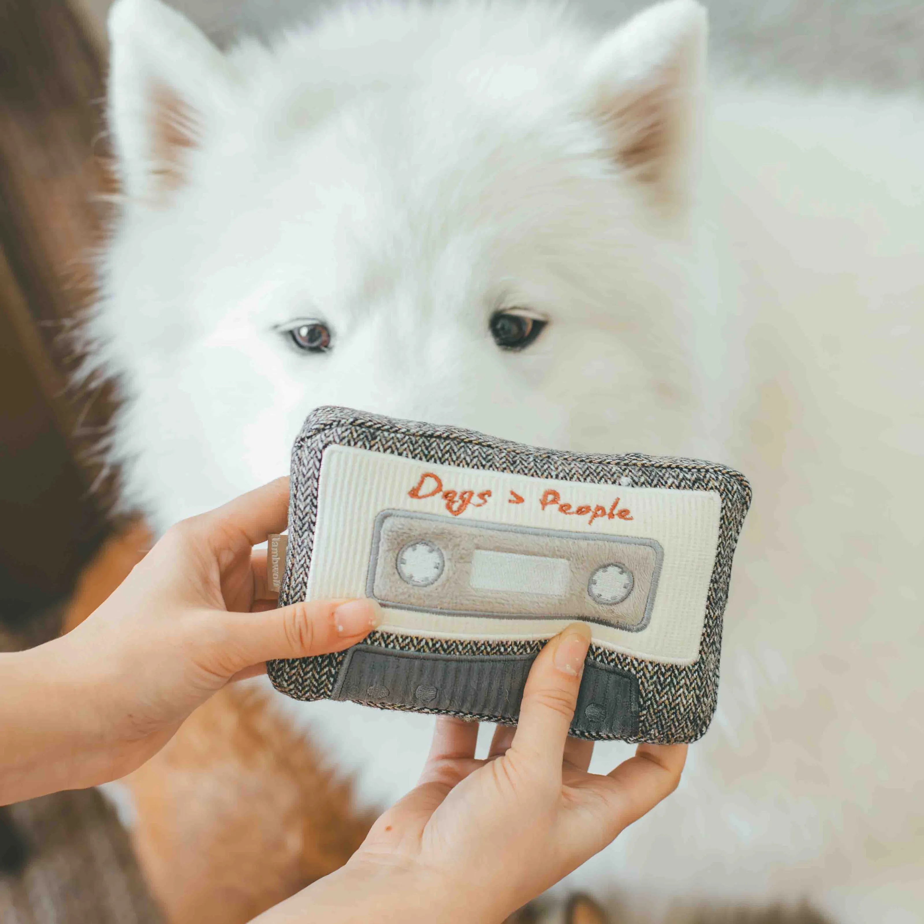 cassette tape enrichment toy