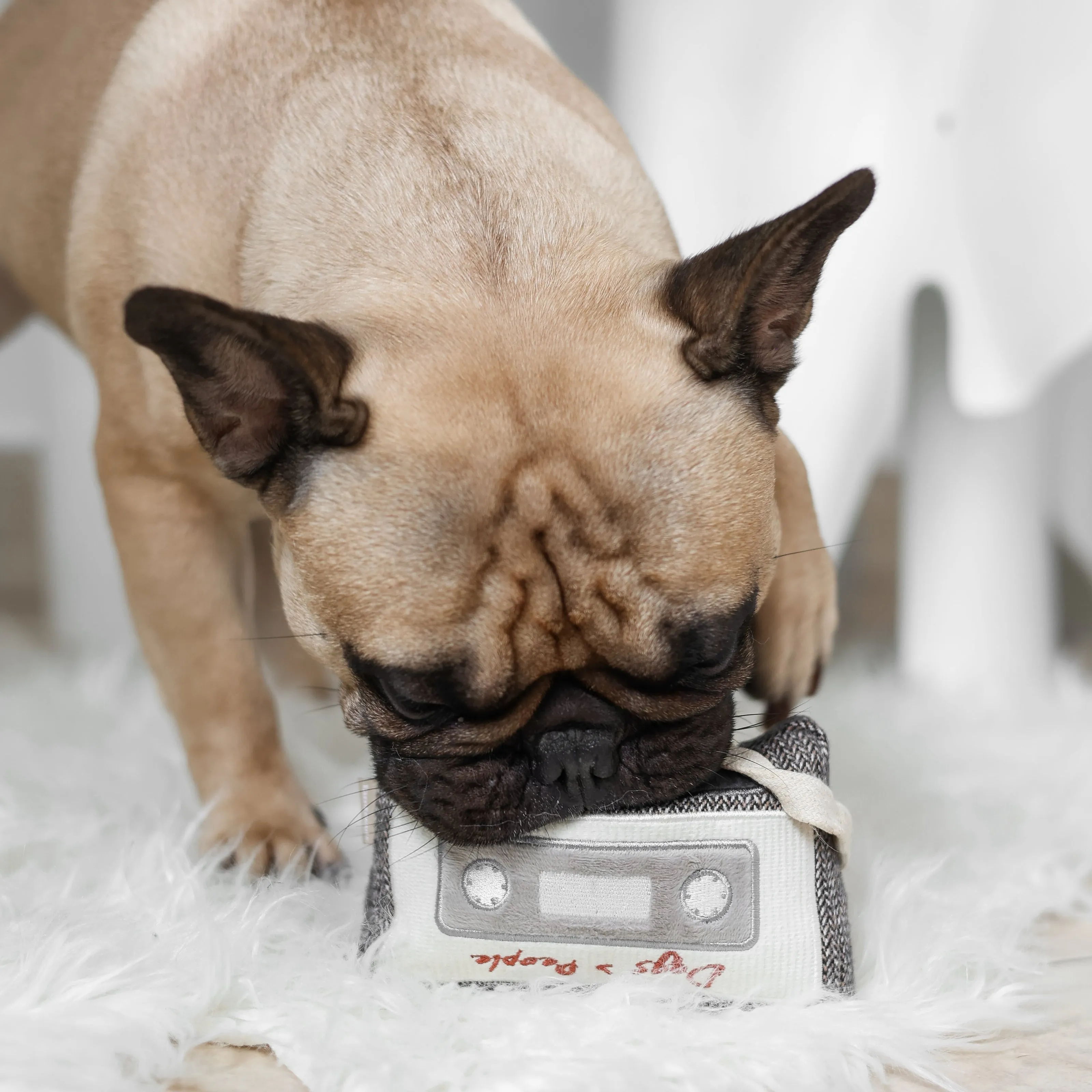 cassette tape enrichment toy