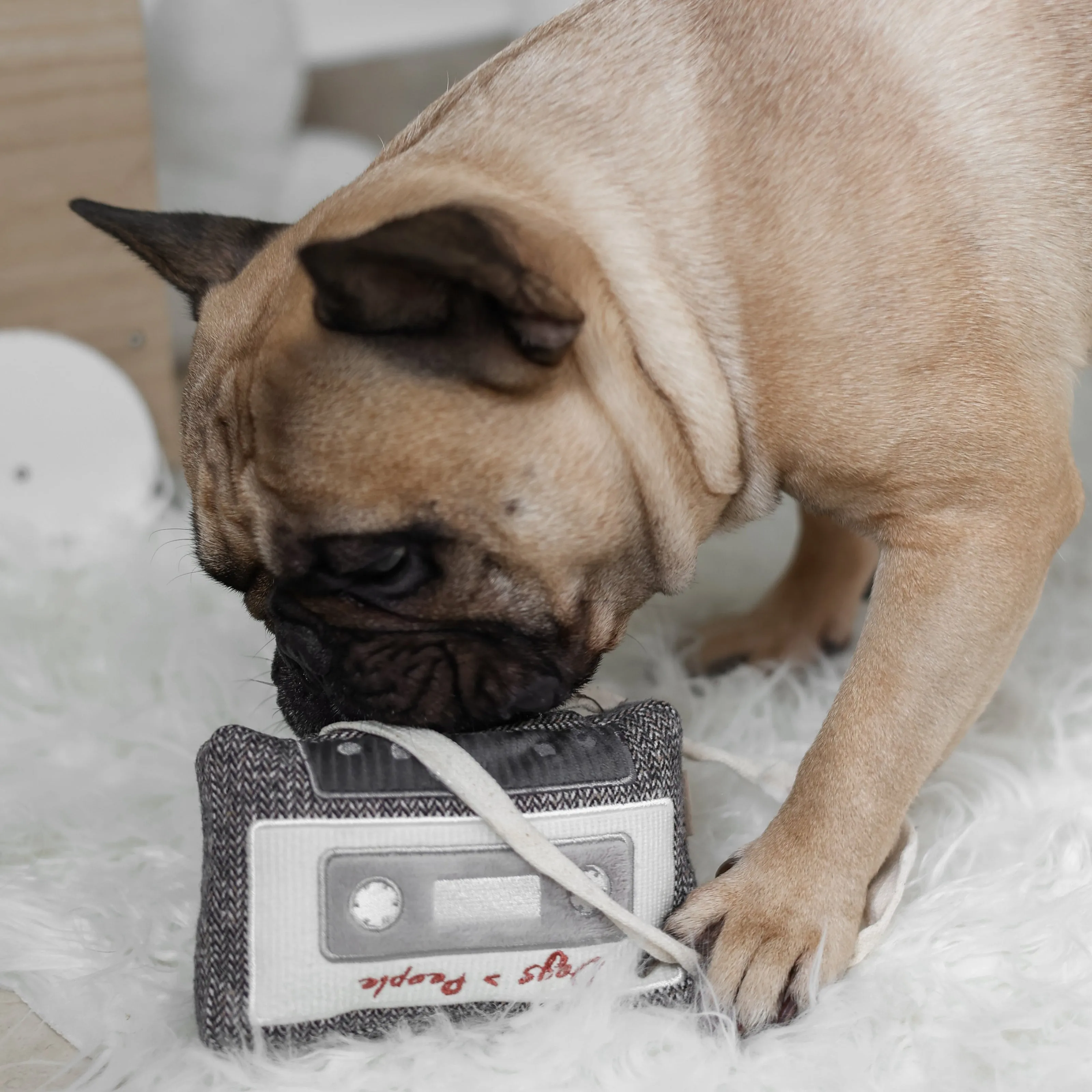 cassette tape enrichment toy