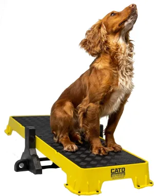 Cato Board XL - Dog Platform (Yellow, with Tilt Stand)