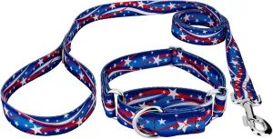 Country Brook Petz - Star Spangled Martingale Dog Collar and Leash Limited Edition - Americana Collection Featuring Patriotic Designs (5/8 Inch, Small)