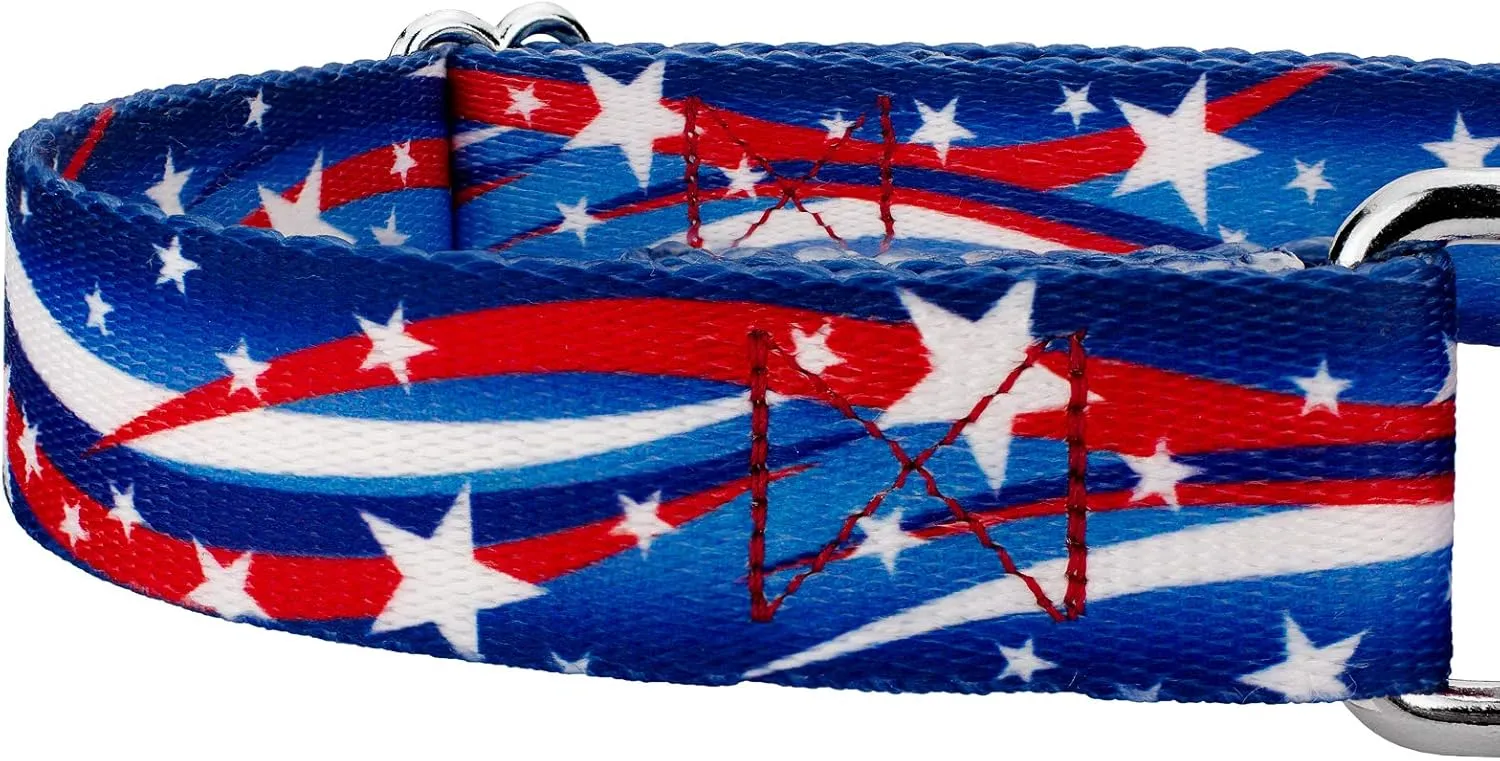 Country Brook Petz - Star Spangled Martingale Dog Collar and Leash Limited Edition - Americana Collection Featuring Patriotic Designs (5/8 Inch, Small)