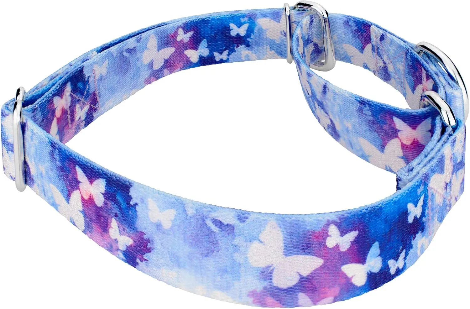 Country Brook Petz - Watercolor Butterflies Martingale Dog Collar and Leash - Critter Corner Collection Featuring Creature Themed Designs (1 inch, Extra Large)