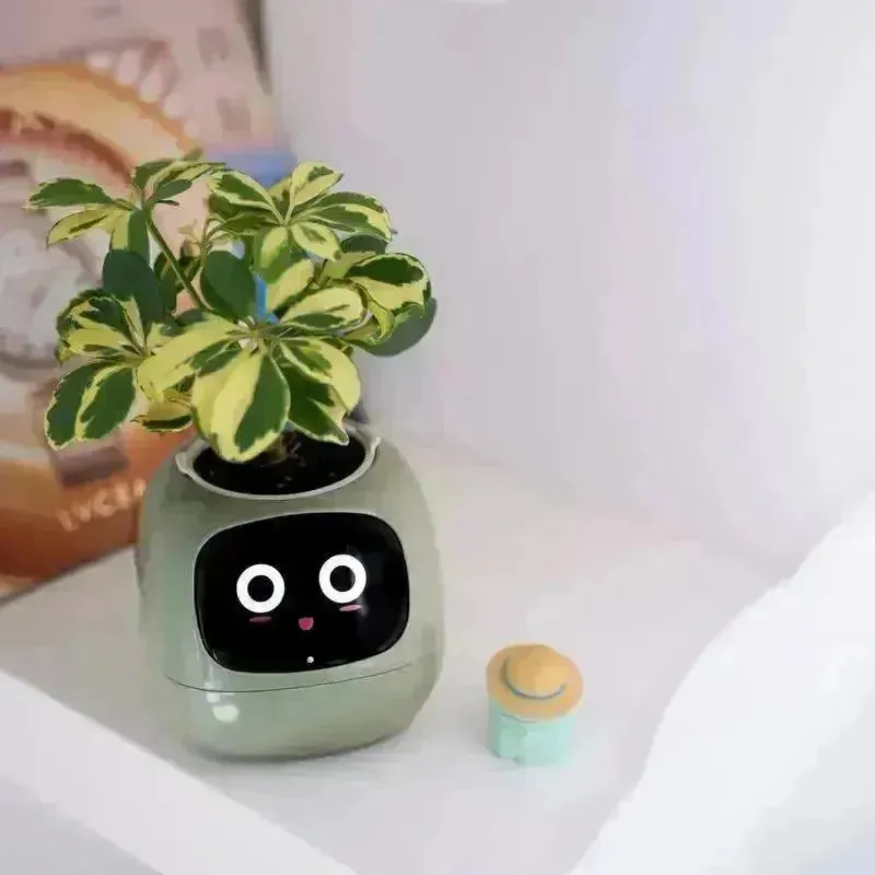 Cute Emoji Plant Pot