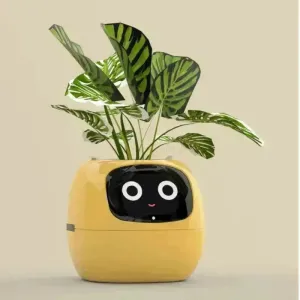 Cute Emoji Plant Pot