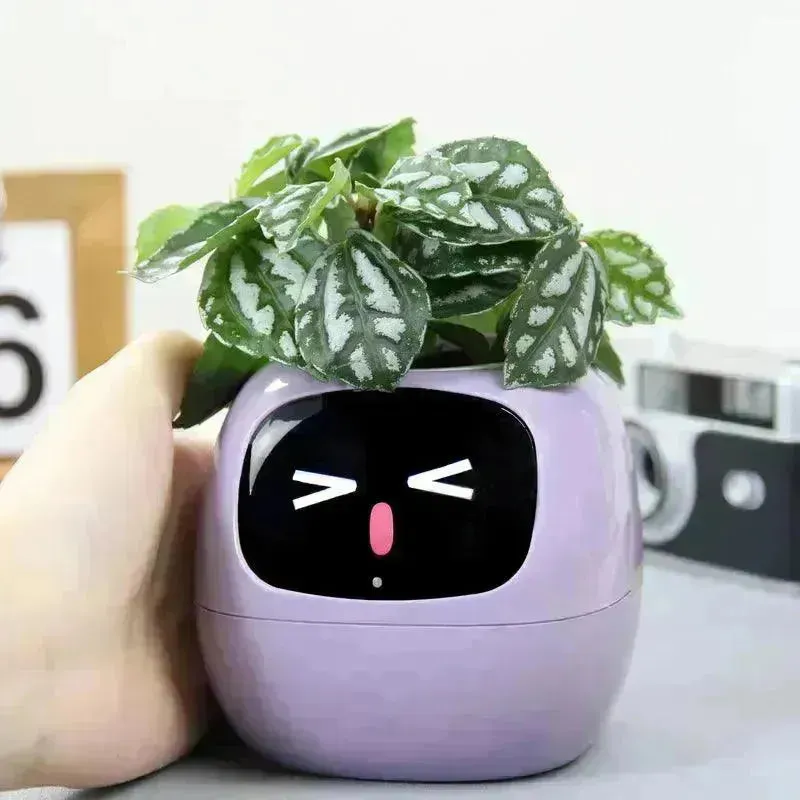 Cute Emoji Plant Pot