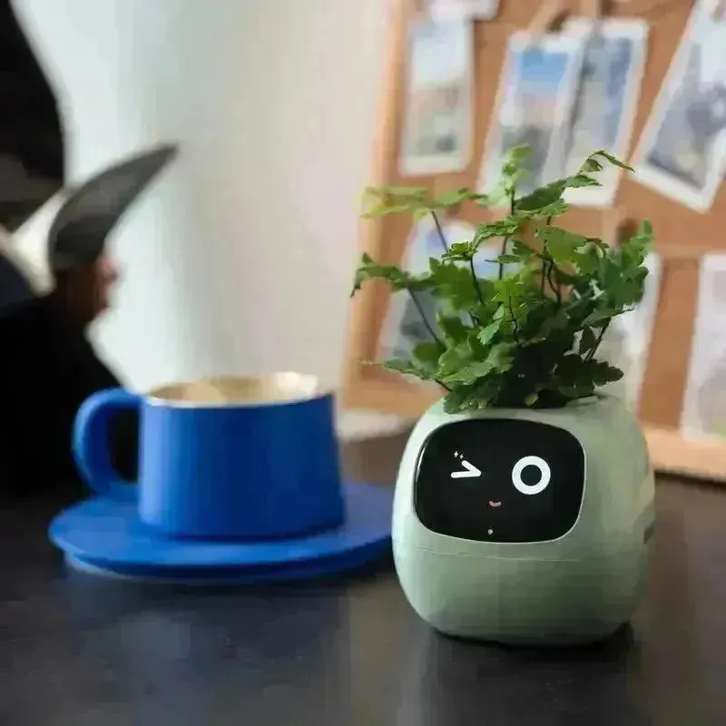 Cute Emoji Plant Pot