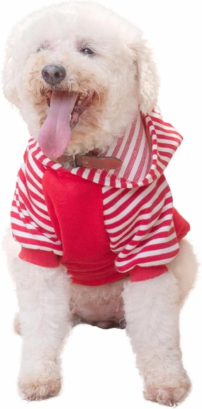 CuteBone Dog Hoodie for Small Dogs, Soft & Cozy Pet Sweatshirt, Lightweight Puppy Clothes with Hood, Comfortable & Easy to Wear, Ideal for Chilly Weather, Stylish Dog Outfit DH01S
