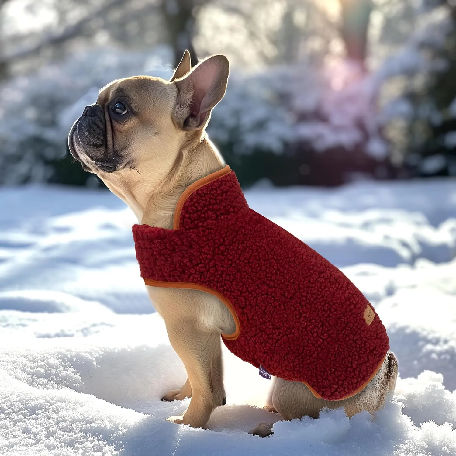 cyeollo Warm Dog Coat Fleece Sherpa Reversible Winter Sweater Coats, Turtleneck Cold Weather Dog Jacket Vest for Small Dogs with Leash Hole, Burgundy, S