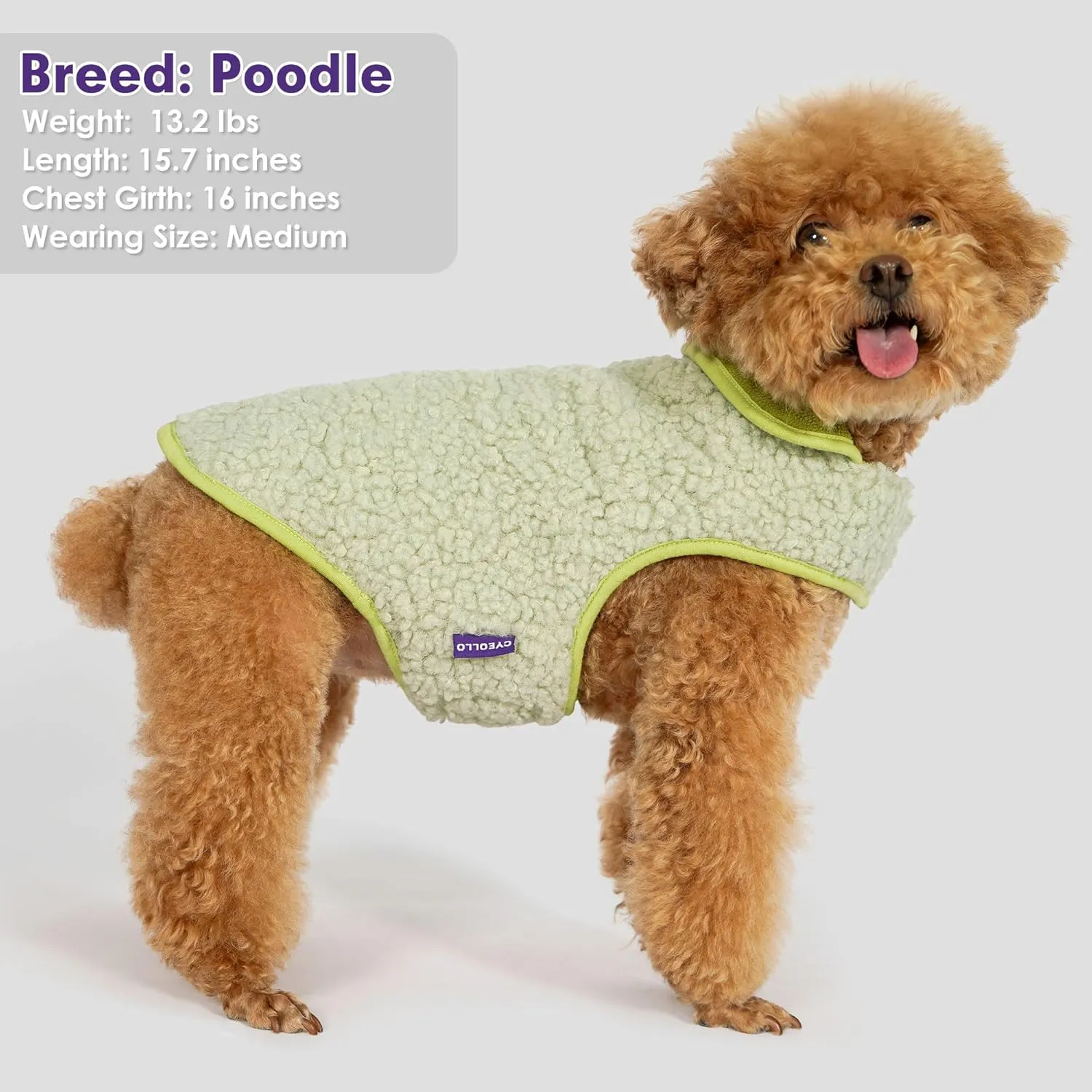 Cyeollo Warm Fleece Sherpa Winter Sweater, Turtleneck Dog Jacket Vest for Small to Large Dogs, Soft Reversible Coat for Cold Weather, Green, S
