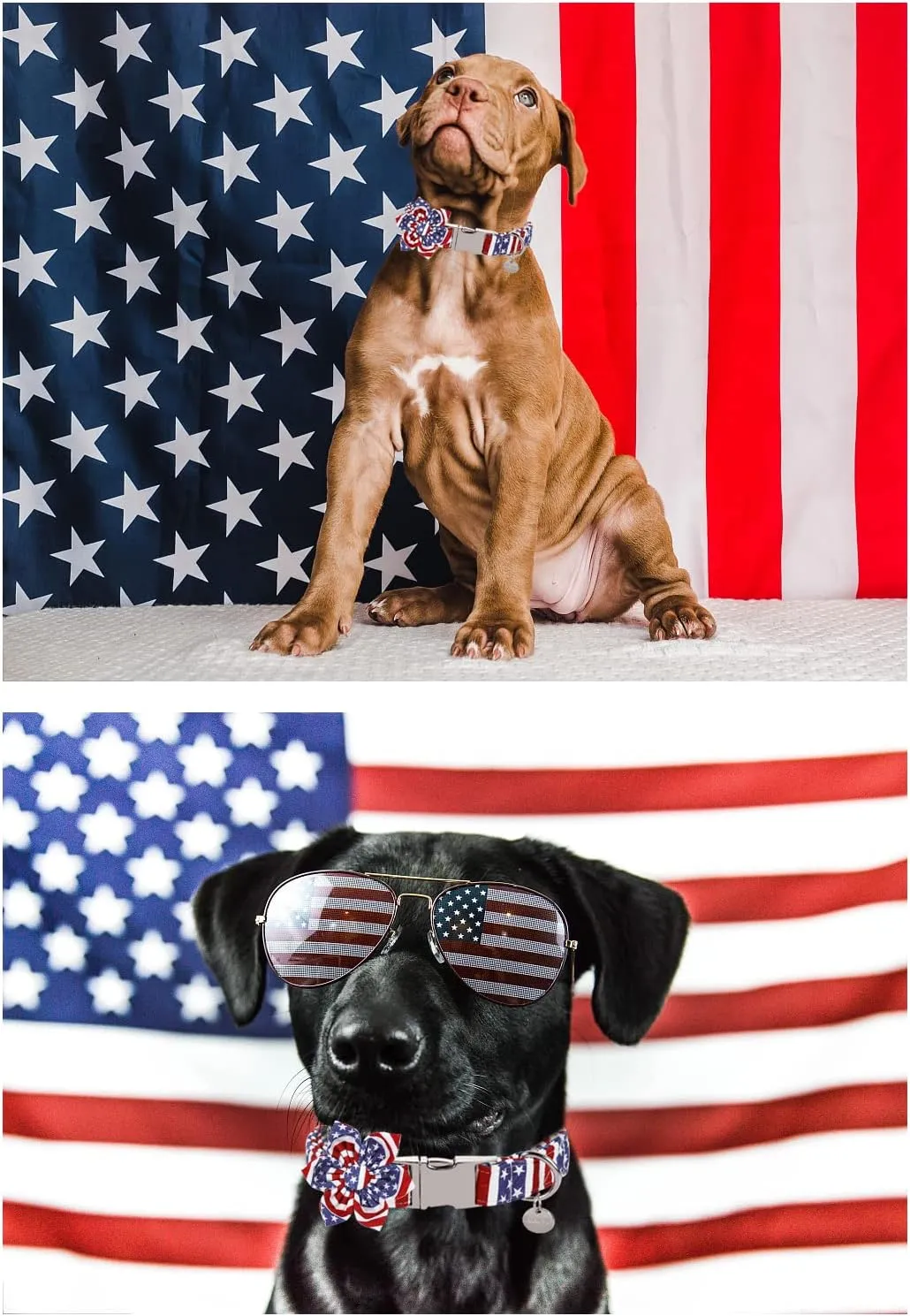 Dog Collar with Flower, 4th of July Comfortable Cotton Dog Collar, American Flag Collar for Large Girl Dog, Patriotic Flower Collar with Metal Buckle, L