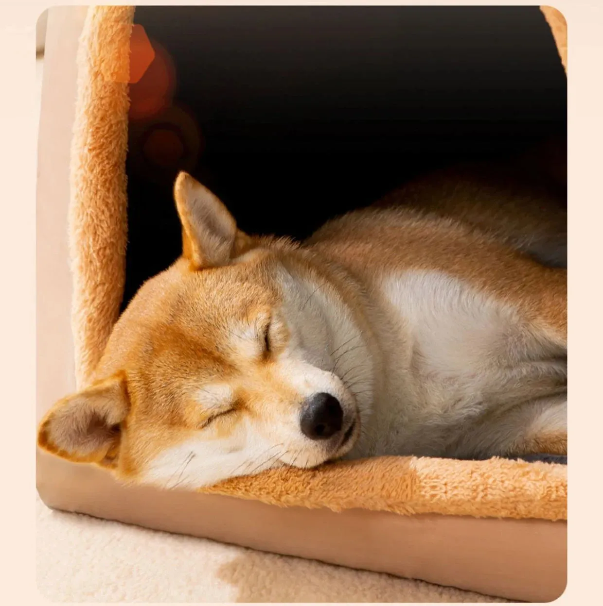 Eco Friendly Cosy Washable Pet Bed