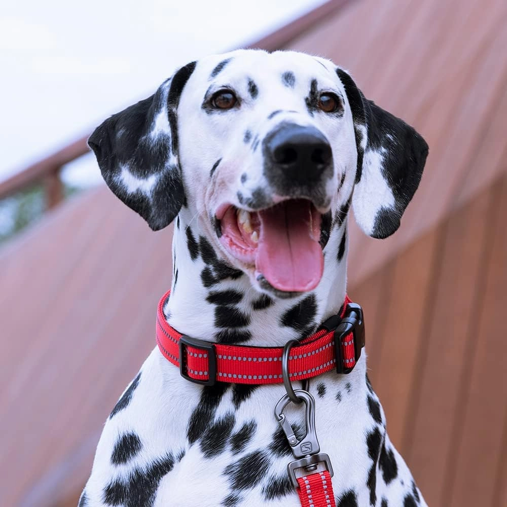 EXCELLENT ELITE SPANKER Reflective Dog Collar Classic Soft Padded Breathable Nylon Adjustable Pet Collar with Quick Release Buckle for Boy Girl Male Female Puppies Small Medium Large Dogs(Purple-S)