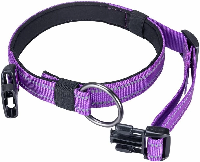 EXCELLENT ELITE SPANKER Reflective Dog Collar Classic Soft Padded Breathable Nylon Adjustable Pet Collar with Quick Release Buckle for Boy Girl Male Female Puppies Small Medium Large Dogs(Purple-S)