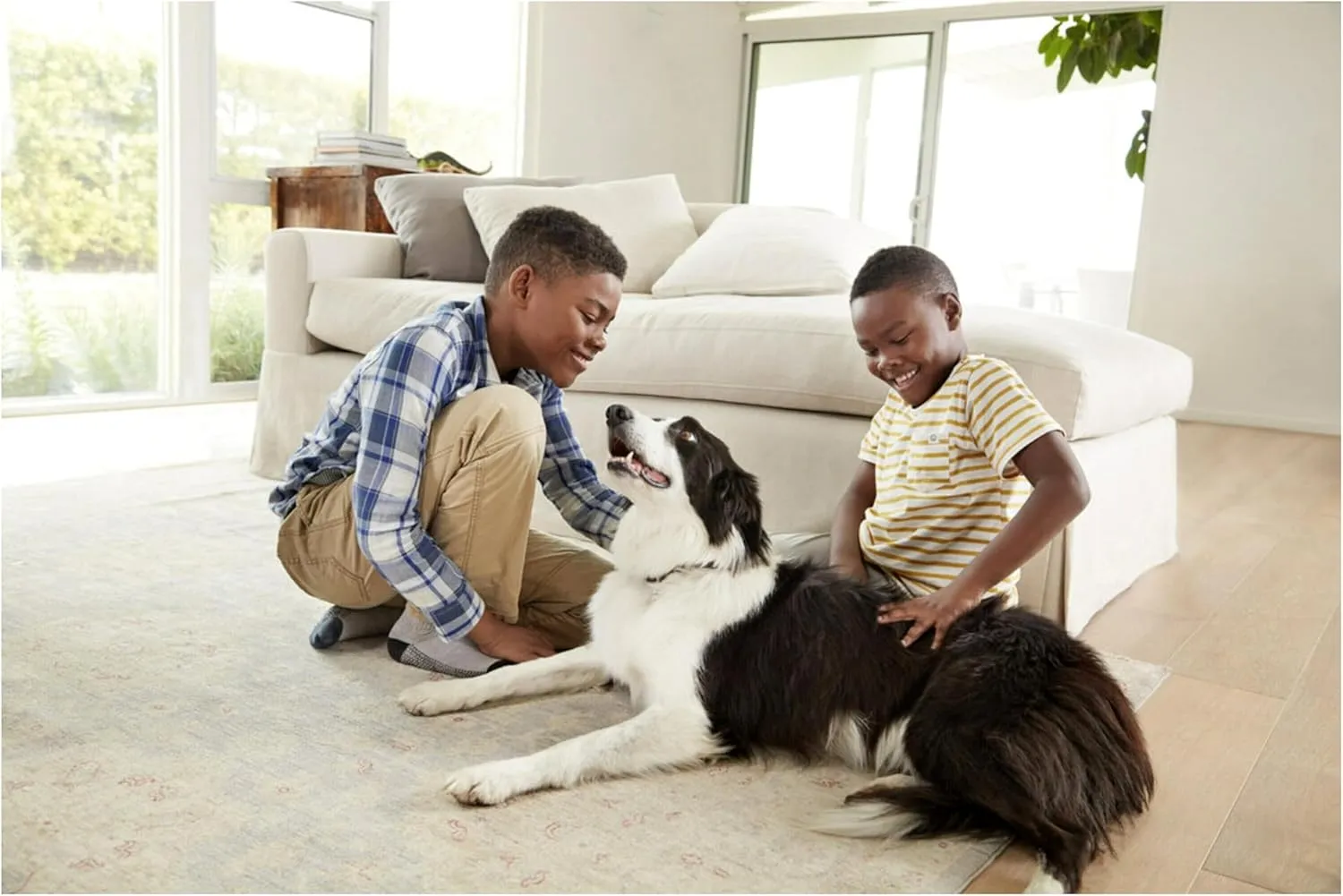 Filtrete 14x24x1 AC Furnace Air Filter, MERV 12, MPR 1500, CERTIFIED asthma & allergy friendly, 3 Month Pleated 1-Inch Electrostatic Air Cleaning Filter, 6-Pack (Actual Size 13.81x23.81x0.78 in)