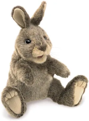 Folkmanis 3130 Small Cottontail Rabbit Hand Puppet, One Size, Multicolor