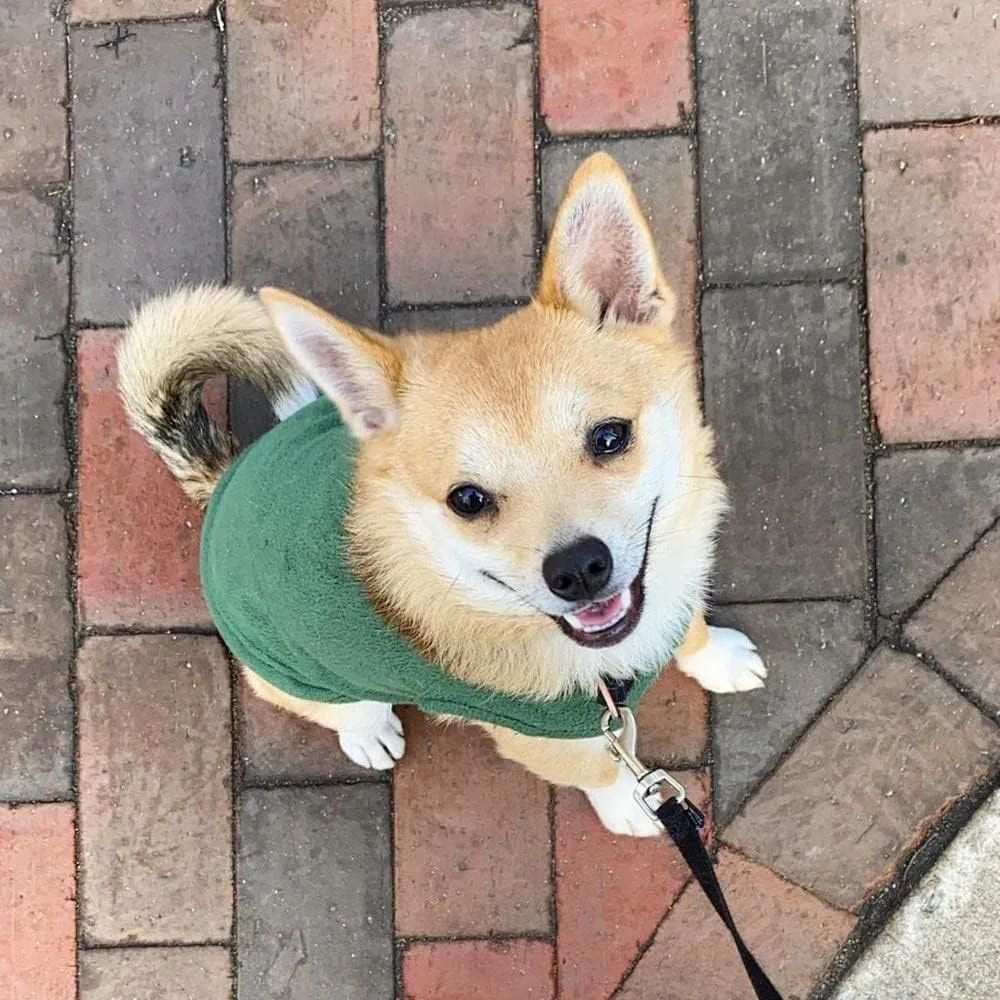 Gooby - Stretch Fleece Vest, Pullover Fleece Vest Jacket Sweater for Dogs, Forest Green, Medium Length (11")