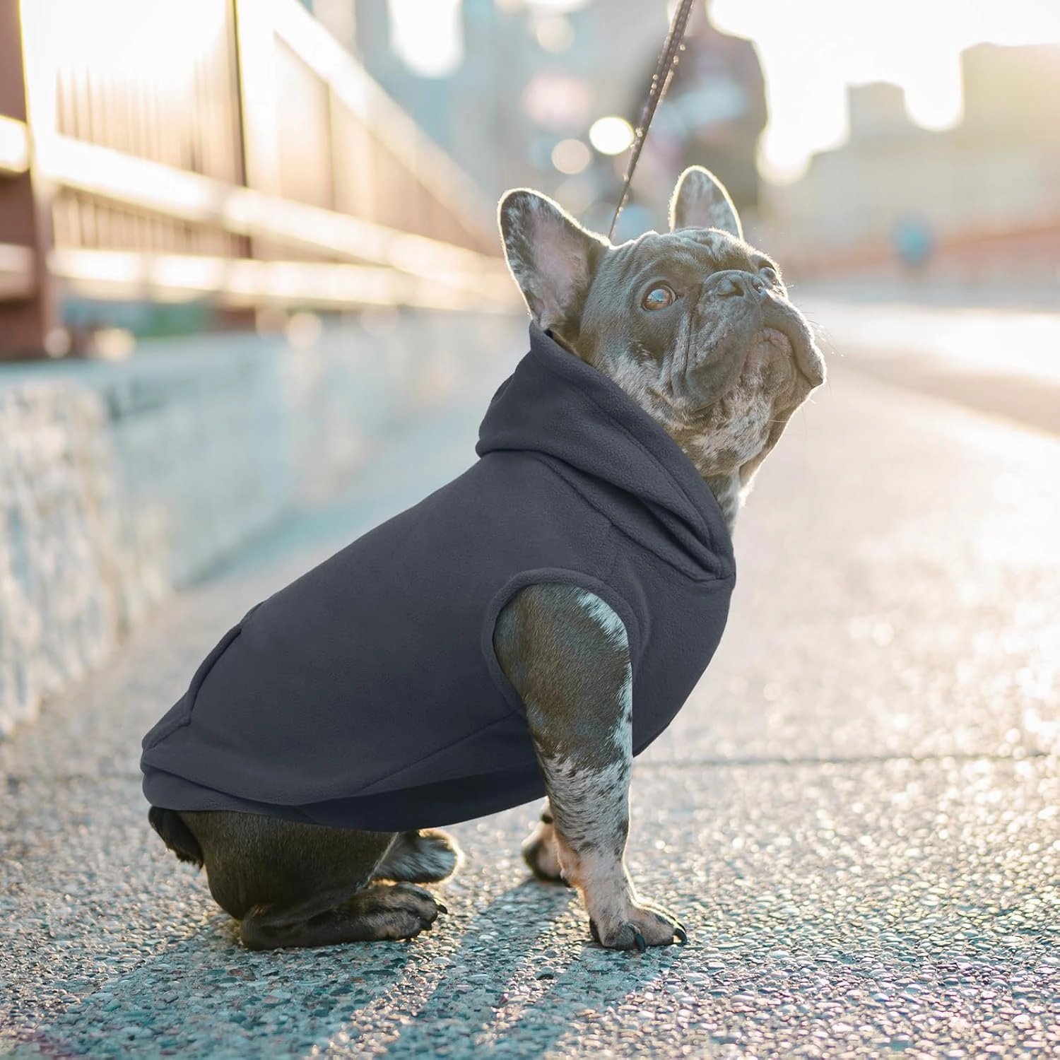 IECO ii Dog Hoodie - Polar Fleece Sweatshirt with Hood. Medium Size, Grey. Perfect for Dogs - Pug, Jack Russell. Unisex - Boy & Girl.