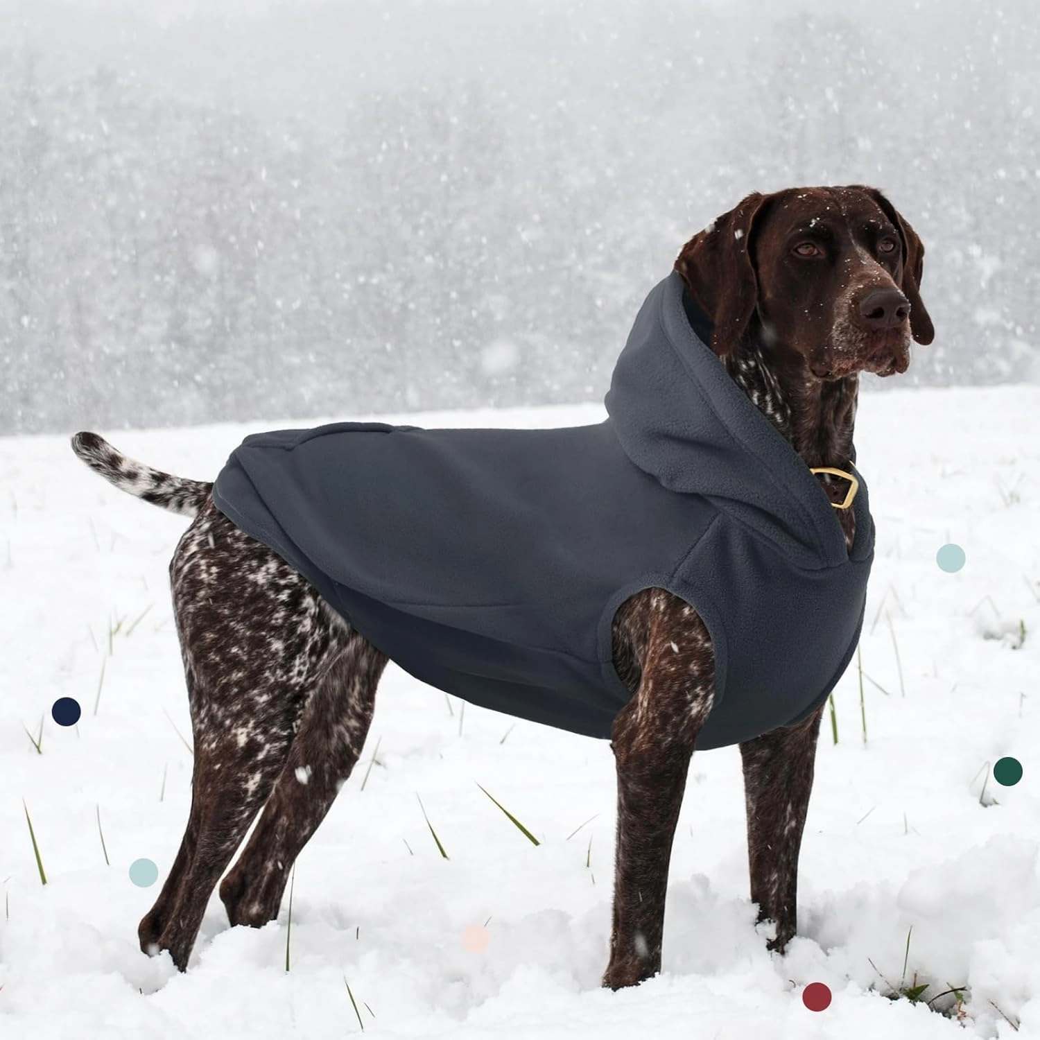 IECO ii Dog Hoodie - Polar Fleece Sweatshirt with Hood. Medium Size, Grey. Perfect for Dogs - Pug, Jack Russell. Unisex - Boy & Girl.