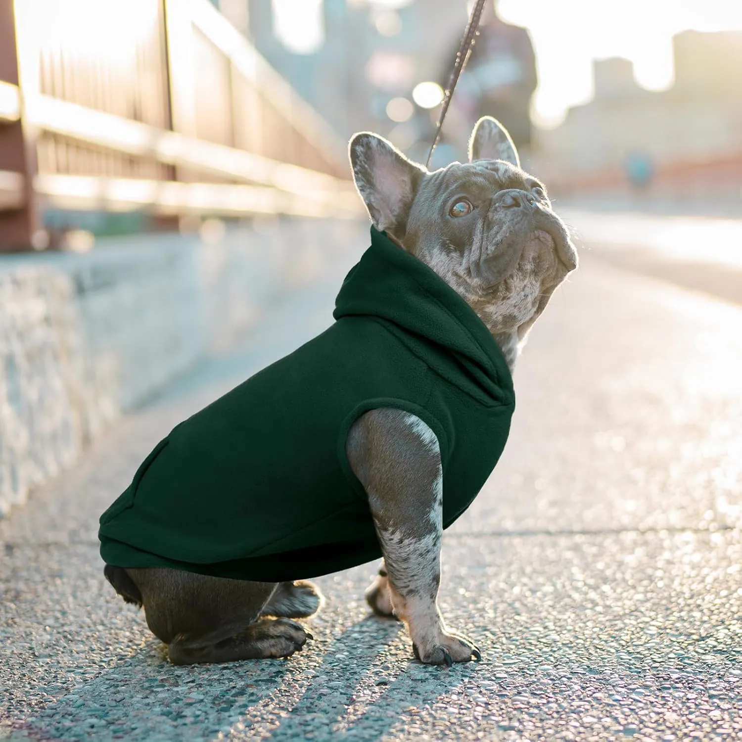 IECOii Dog Hoodie,Polar Fleece Dog Sweatshirt Christmas Dog Sweater with Hood,Warm Dog Sweater for Medium Dog Boy Girl,Sleeveless Dog Hoodie Medium Size Dog Winter Clothes for Pug,Jack Russell,Green,M