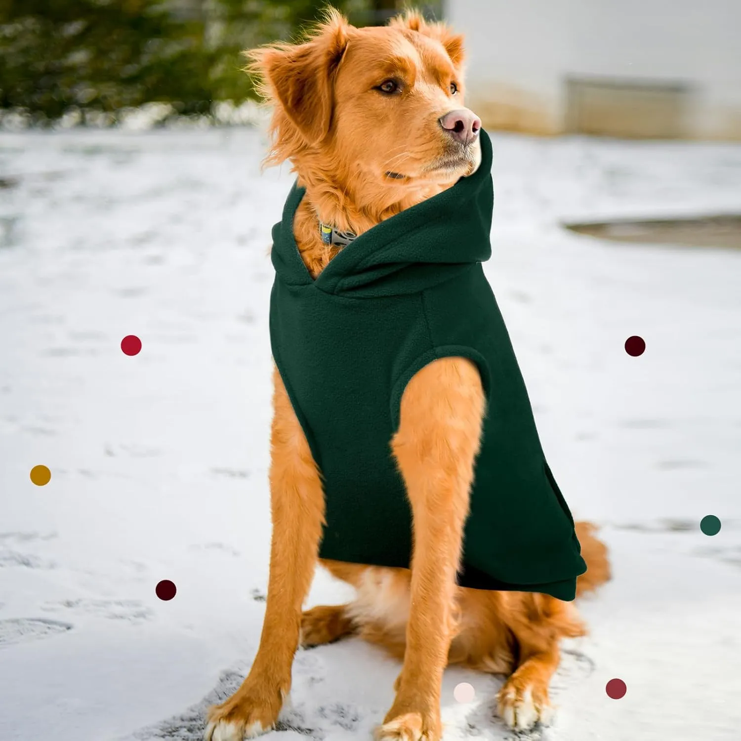 IECOii Dog Hoodie,Polar Fleece Dog Sweatshirt Christmas Dog Sweater with Hood,Warm Dog Sweater for Medium Dog Boy Girl,Sleeveless Dog Hoodie Medium Size Dog Winter Clothes for Pug,Jack Russell,Green,M