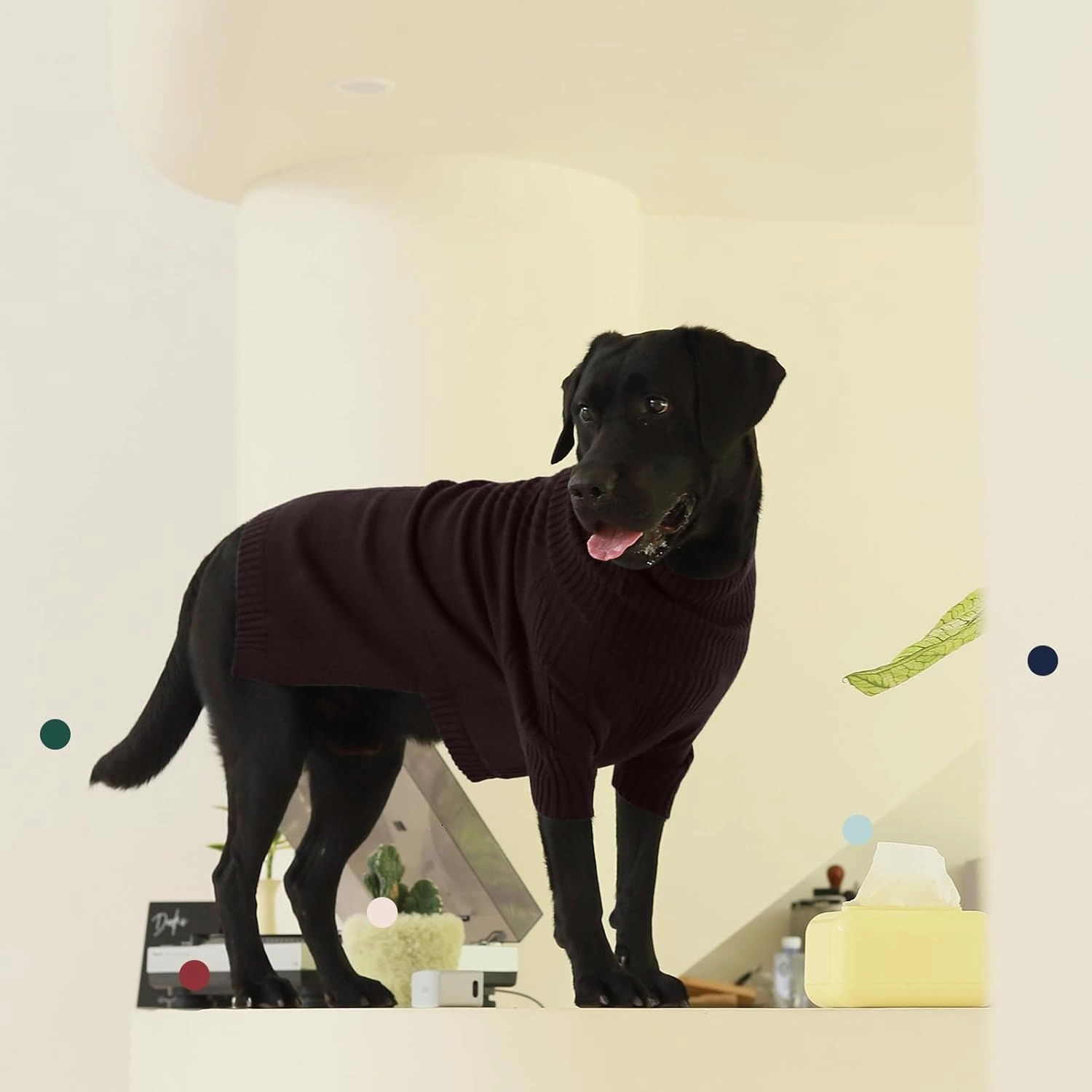 IECOii Dog Sweater,Dog Sweaters for Medium Dogs Girls Boys,Doggie Sweater Christmas,Pet Sweatshirt Knitwear Outfit for Holiday,KnitTurtleneck Warm Clothes for French Bulldog,Boston Terrier(Brown,M)