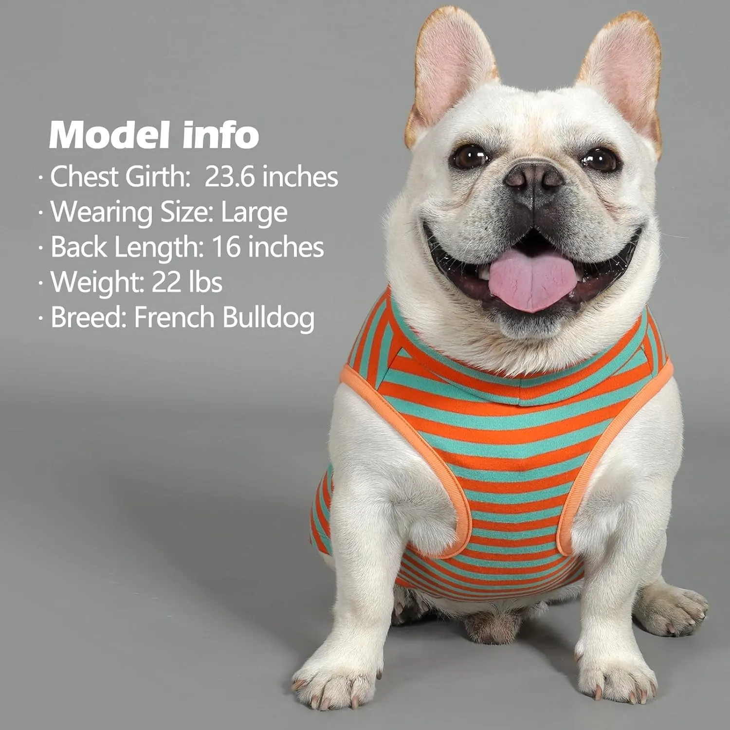 KYEESE 2Pack Dog Sweater Turtleneck Small Dogs Sweaters Pullover Pet Sweatshirt Stretchy Dogs Clothes Soft Dachshund Clothes Warm Pet Coats Dog Sweaters for Small Pets Male