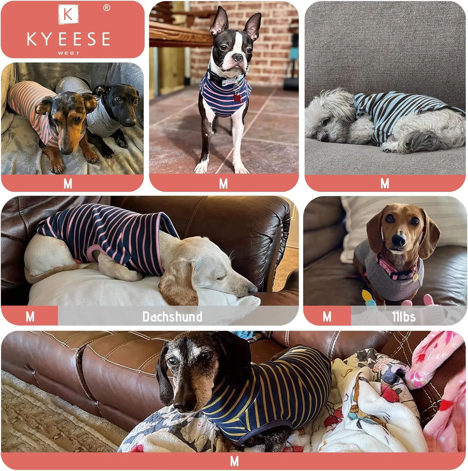 KYEESE 2Pack Dog Sweater Turtleneck Small Dogs Sweaters Pullover Pet Sweatshirt Stretchy Dogs Clothes Soft Dachshund Clothes Warm Pet Coats Dog Sweaters for Small Pets Male