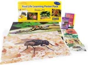 Learning Materials: Insects and Bugs Themed Kit for Preschool and Early Childhood Learning Centers