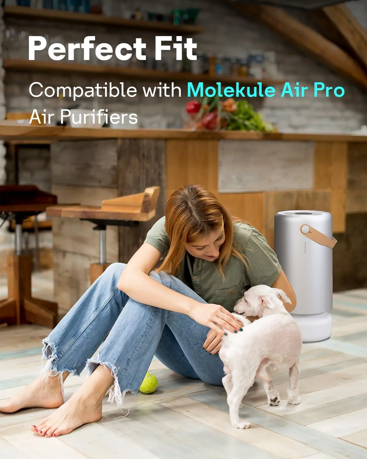 Leemone 2 Pack Air Pro PECO-HEPA Tri-Power Filters Replacement Compatible with Molekule Air Pro | Air Puri-fier, High-Efficiency True HEPA Replacement Filter
