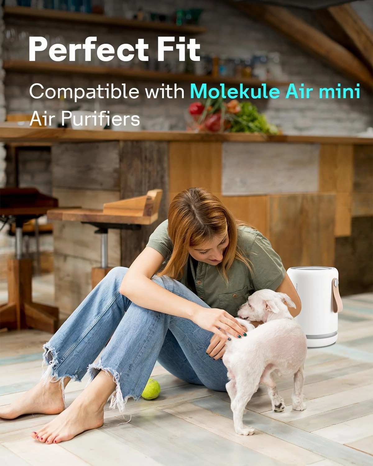 Leemone H13 True Air Mini Filter Replacements Compatible with Molekule Air Mini & Air Mini   Air Purifiers, 3-in-1 High-Efficiency True HEPA Replacement Filter, 2 Pack