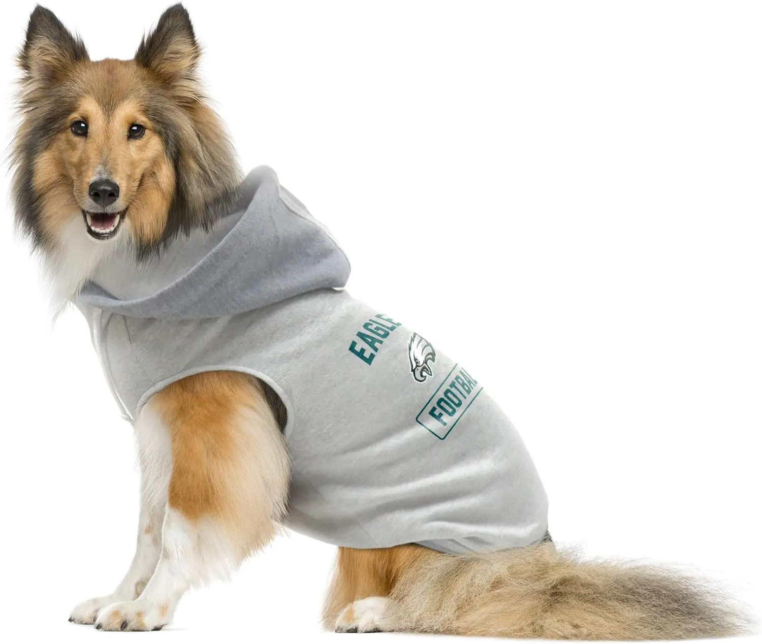 Littlearth Unisex-Adult NFL Detroit Lions Pet Hooded Crewneck