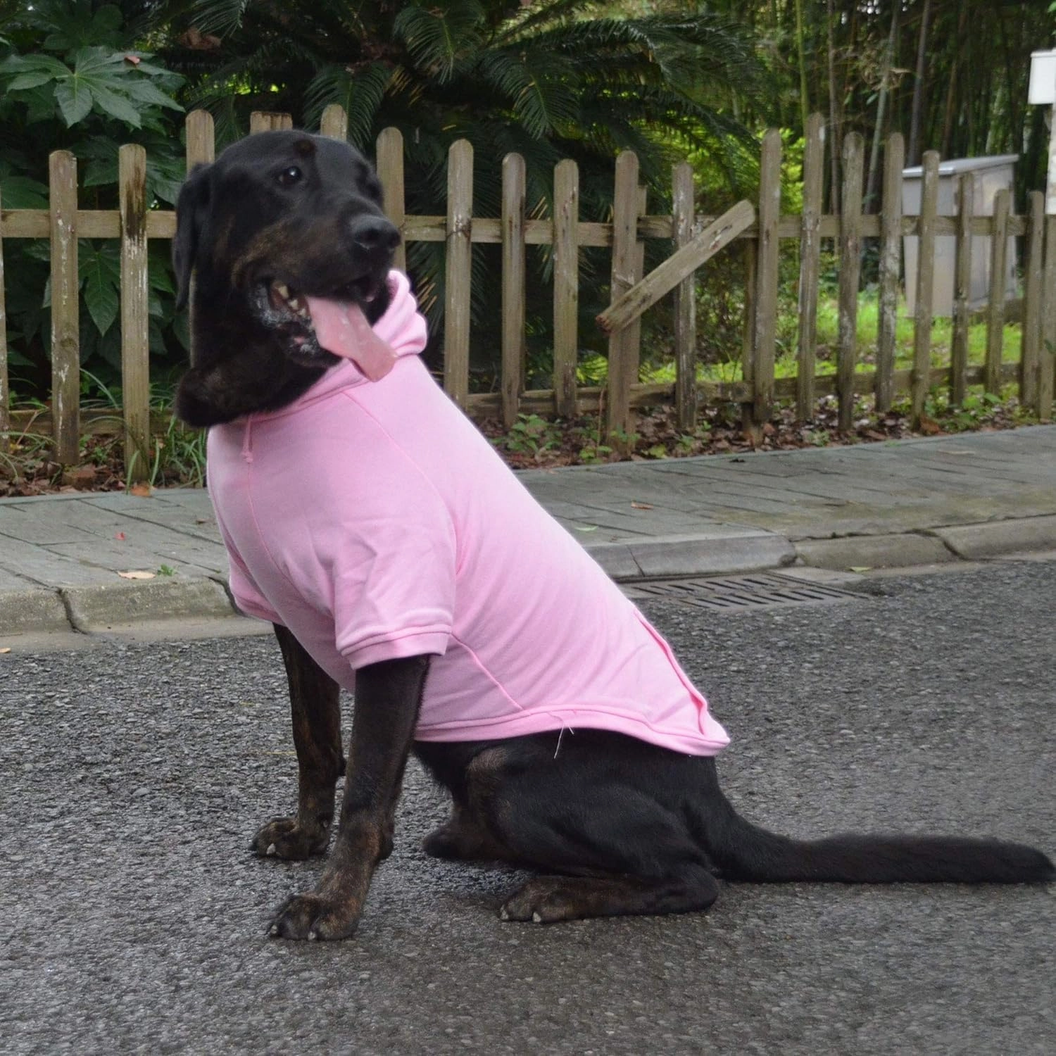 Lovelonglong Blank Basic Hoodie Sweatshirt for Dogs 100% Cotton Fits Small Medium Dachshund Large Dog Pink XL