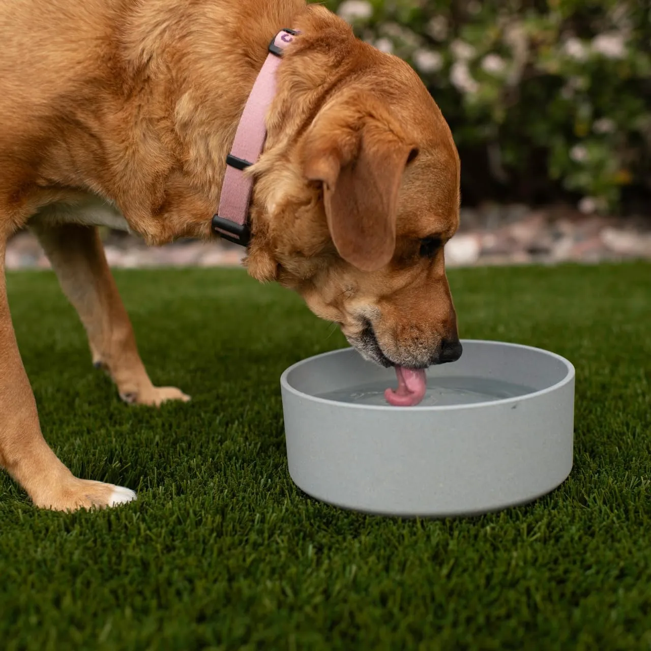 Loving Pets - Dolce Bamboo - Eco-Friendly Pet Bowls & Dishes for Dog, Cats, Puppy Food and Water Dish -Sustainable and Dishwasher Safe, Made with Real Bamboo (Large, Slate-Grey)
