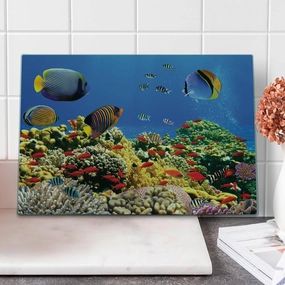 Lunarable Ocean Cutting Board, Submerged Colorful Coral Colony on Reef Exotic Fishes Tranquil Shallow Sea Picture, Decorative Tempered Glass Cutting and Serving Board, Large Size, Multicolor