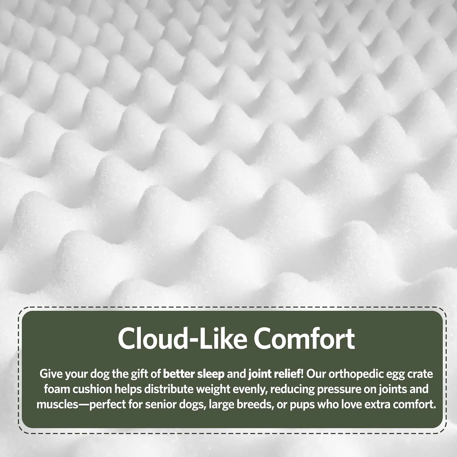 MidWest Homes for Pets Orthoperdic Egg-Crate Nesting Pet Bed w/Teflon Fabric Protector, Medium Green