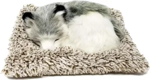 Minis Alaskan Husky, Realistic, Lifelike Stuffed Interactive Plush Toy, Electronic Pets, Companion Pet Puppy with 100% Synthetic Fur